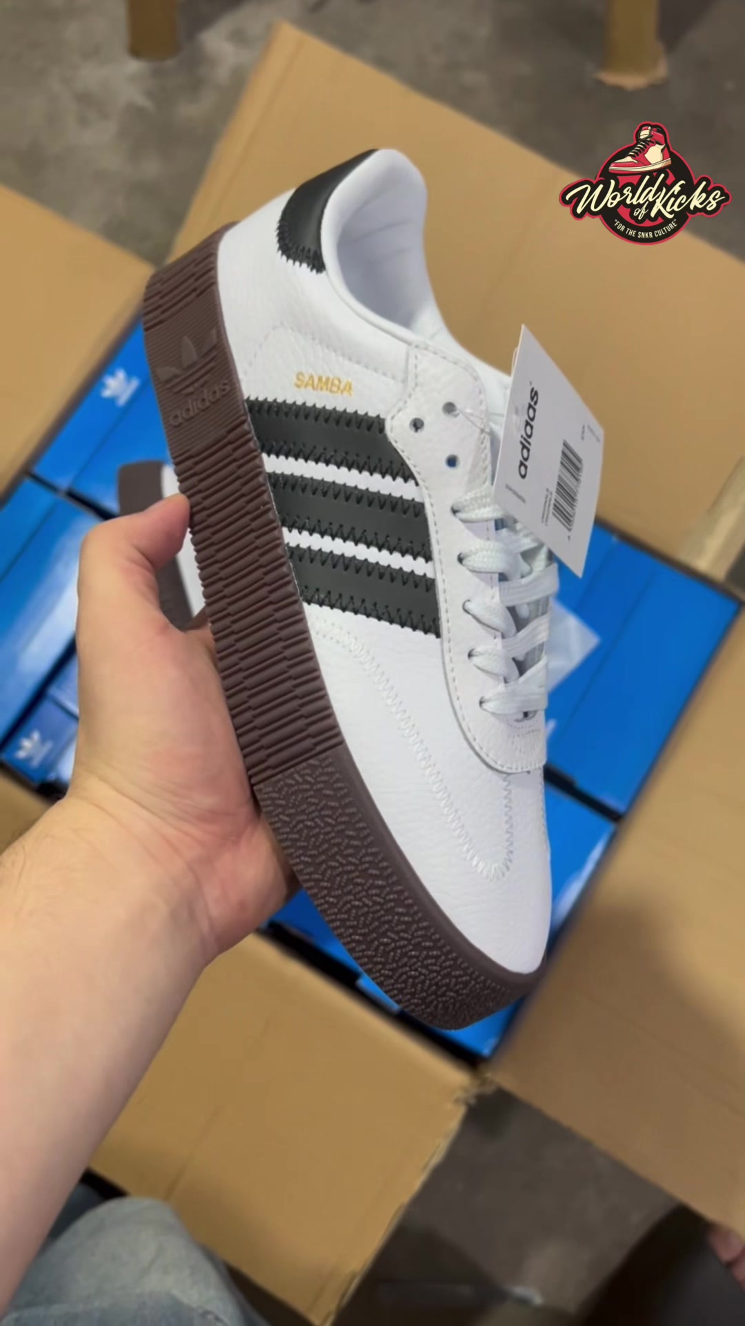 @Theworld Of Kicks