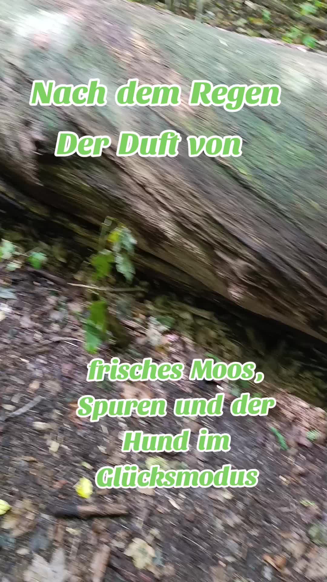 @Mikelina