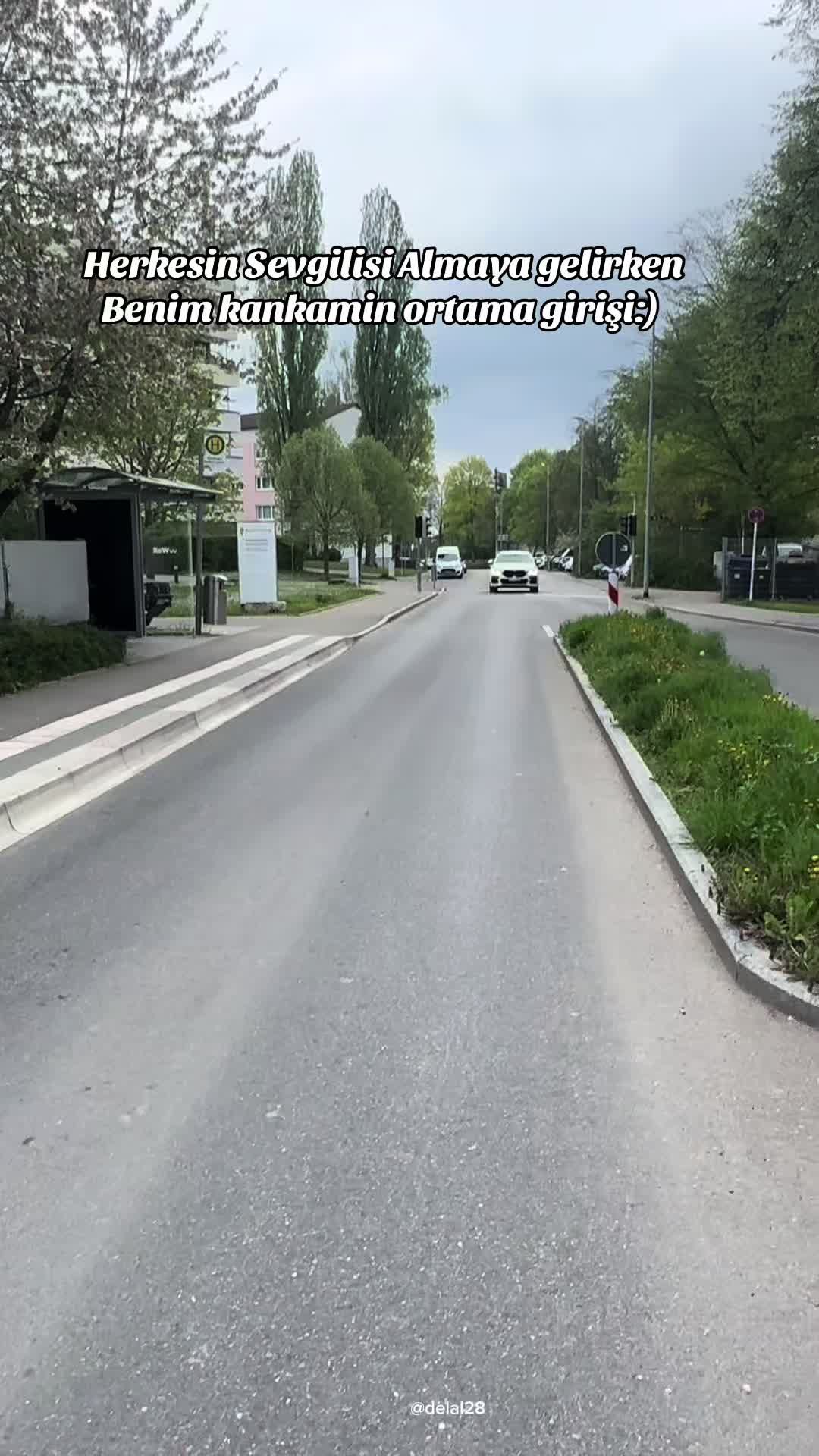 @Ay_sche🕊