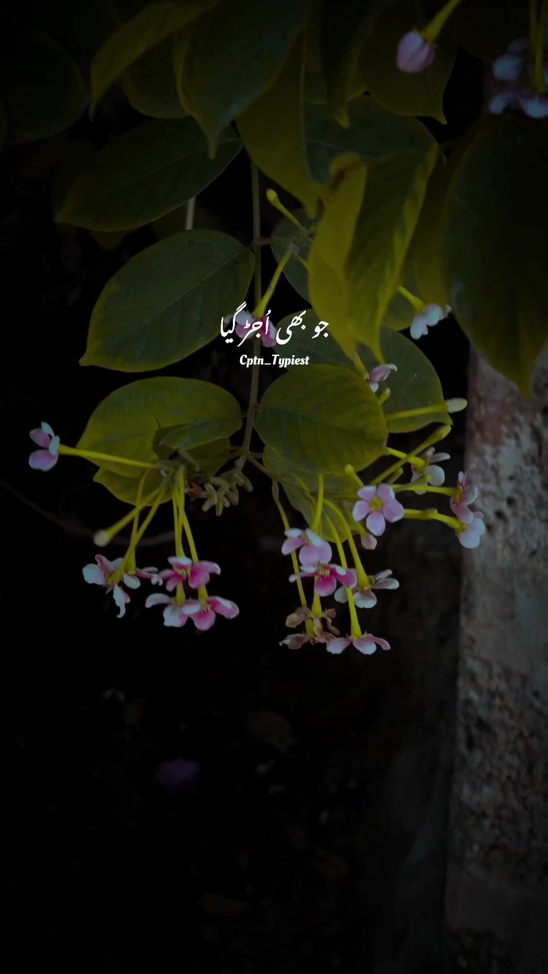 @💖𝙘𝙥𝙩𝙣_𝙩𝙮𝙥𝙞𝙚𝙨𝙩💝