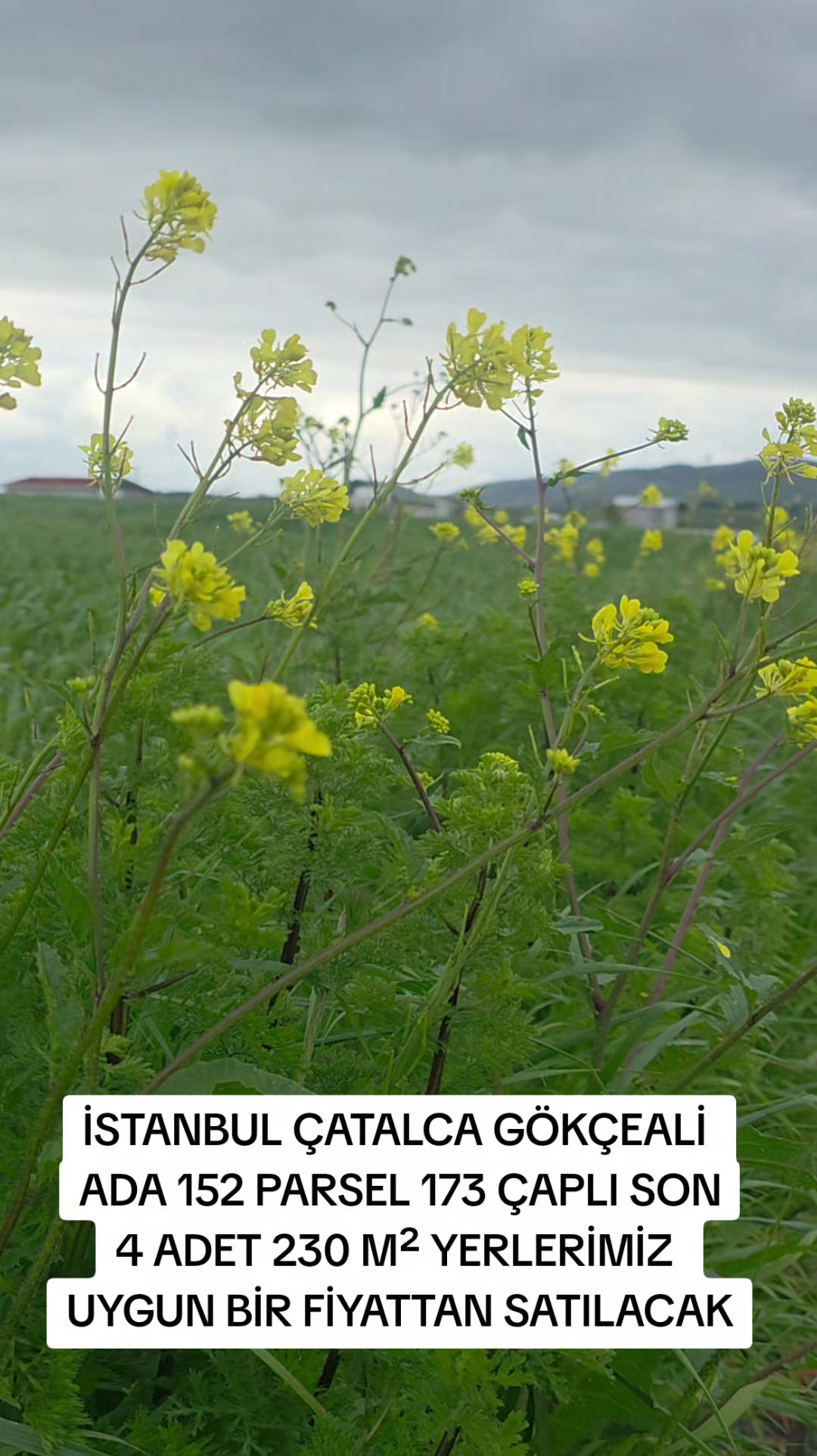 @Satılık K&ouml;y Evleri