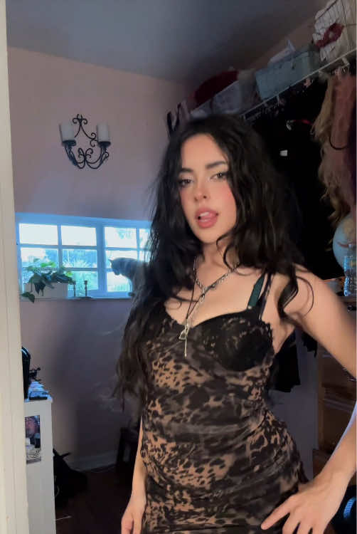 @nattywolfff