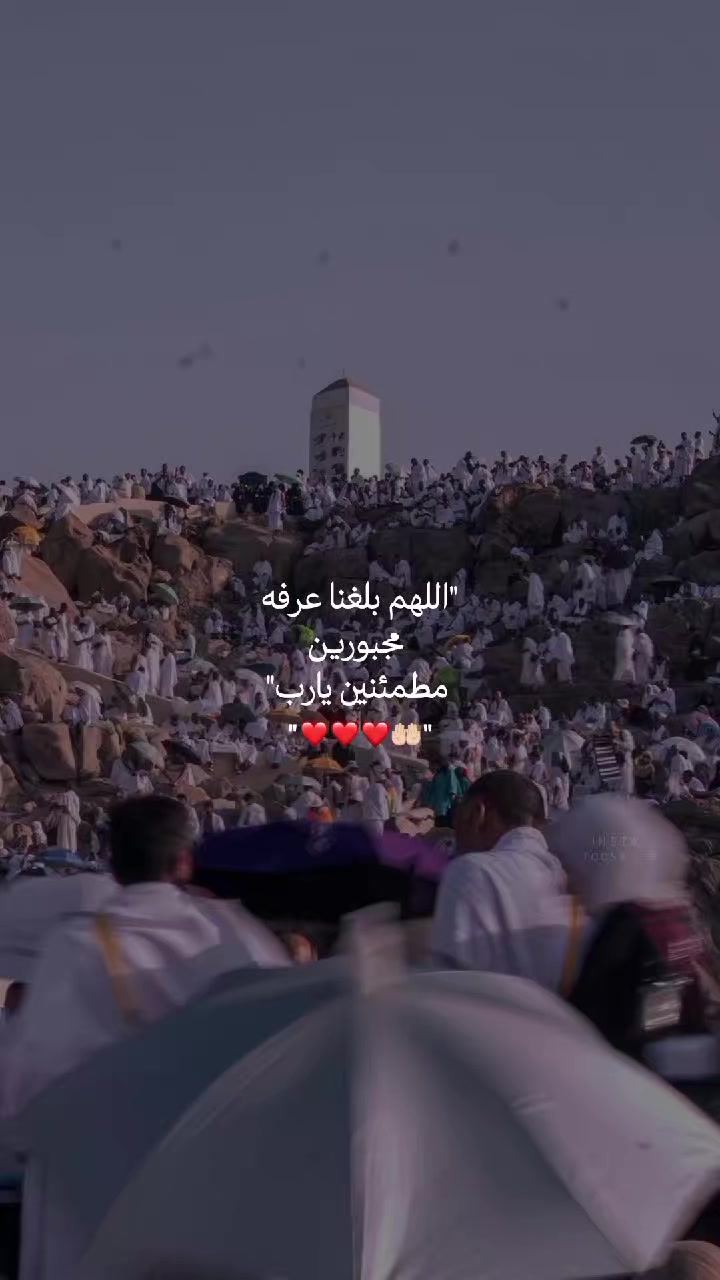 @مُصـممة | تـوسا 𐙚