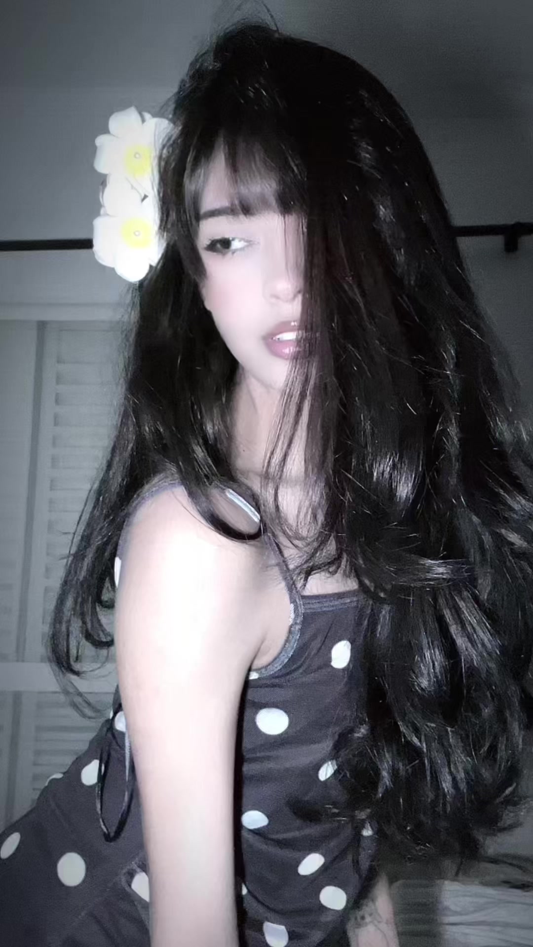 @vleerwyn