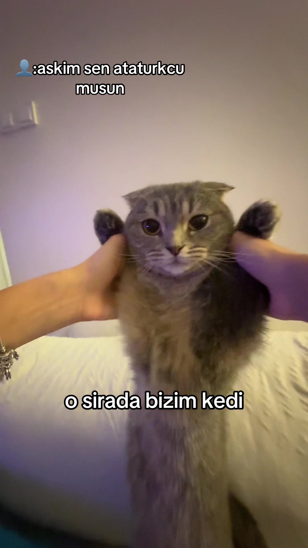 @asyakiziltug