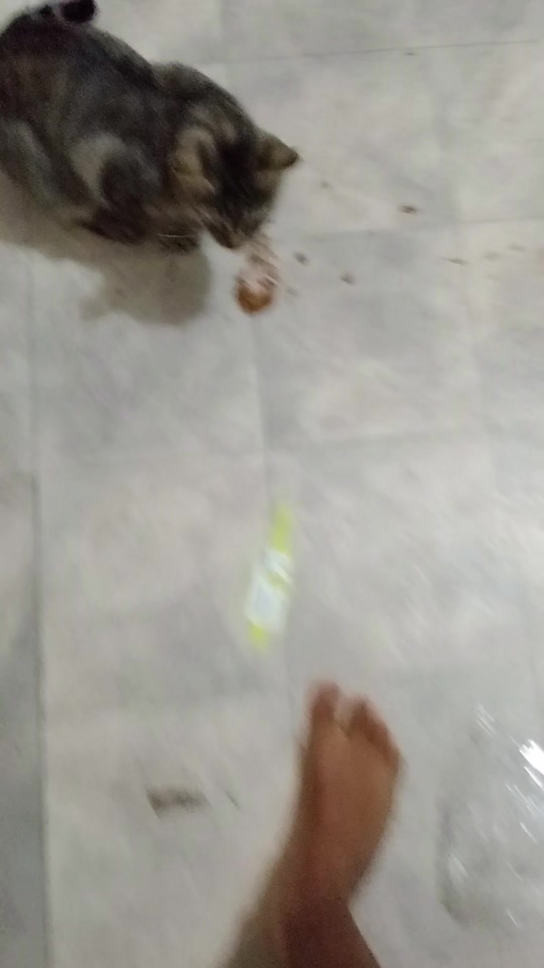 @user78029543791