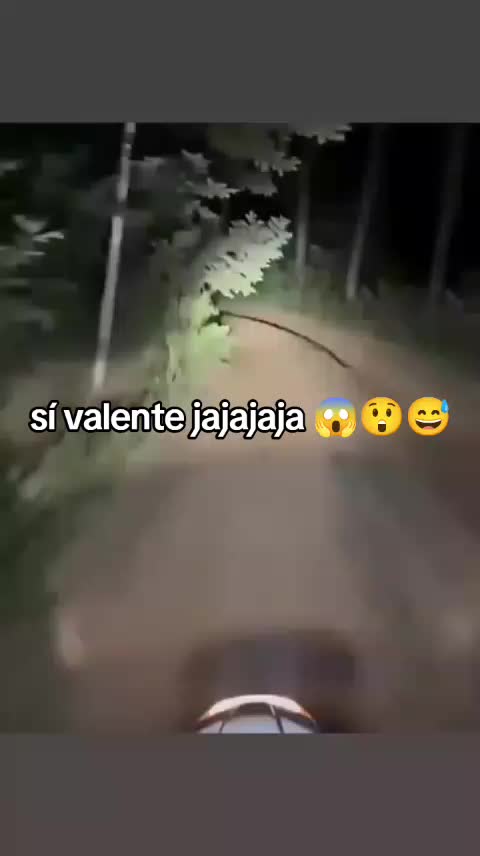 @Valente Alfaro