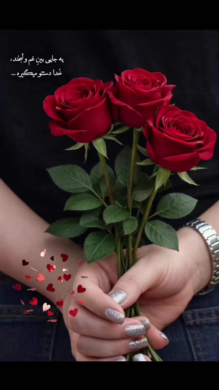 @･ﾟ✮ 𝒮𝑒𝓉𝒶𝓇𝒶 ✮ﾟ･