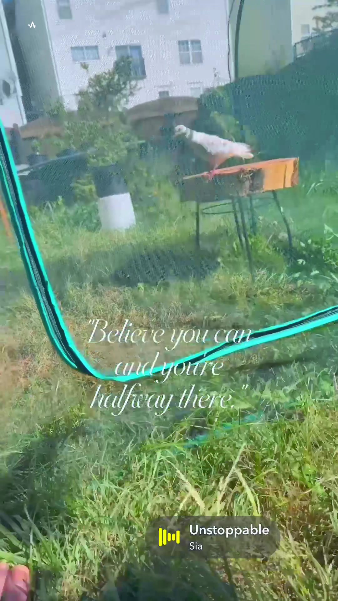 @b~lÿfe420