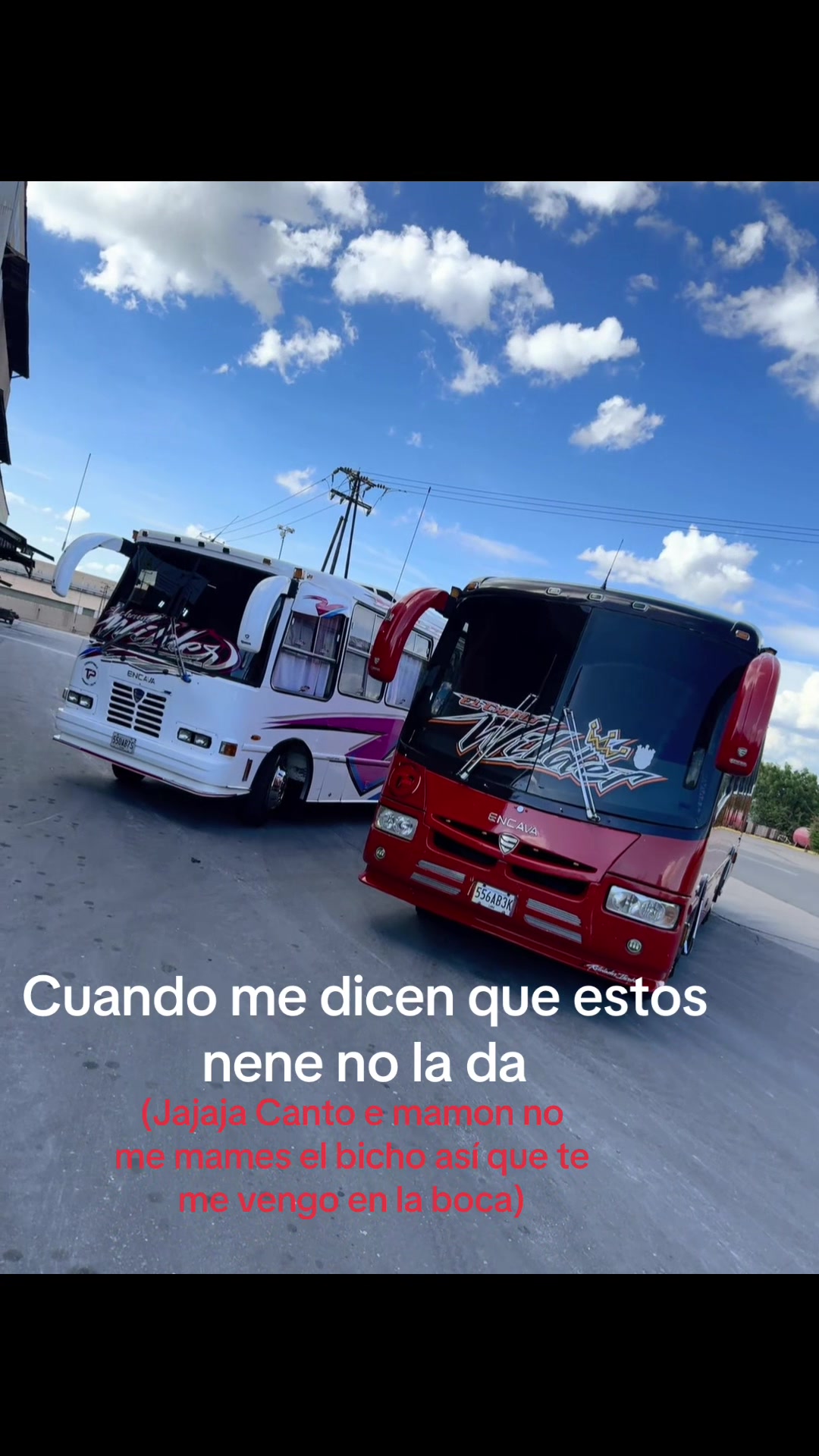 @ELCHAMOWILDER