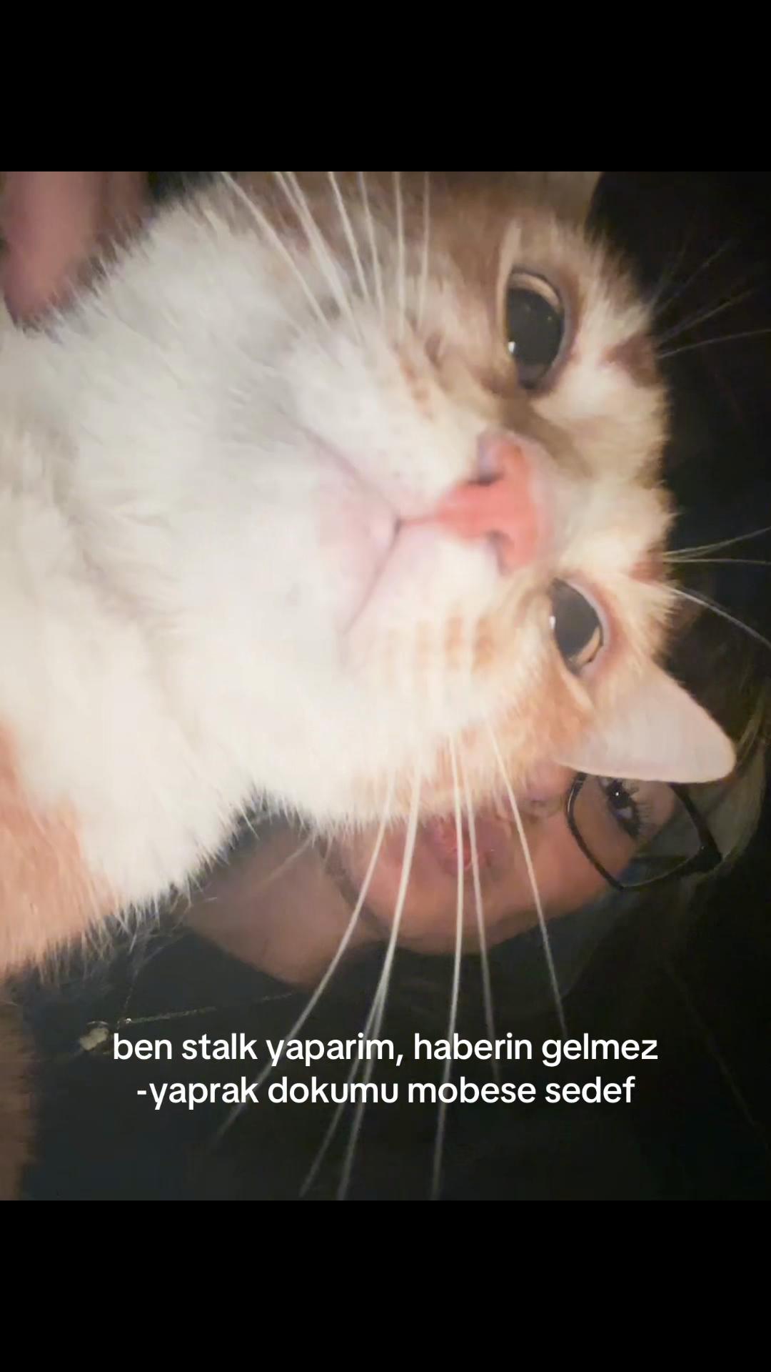@nur