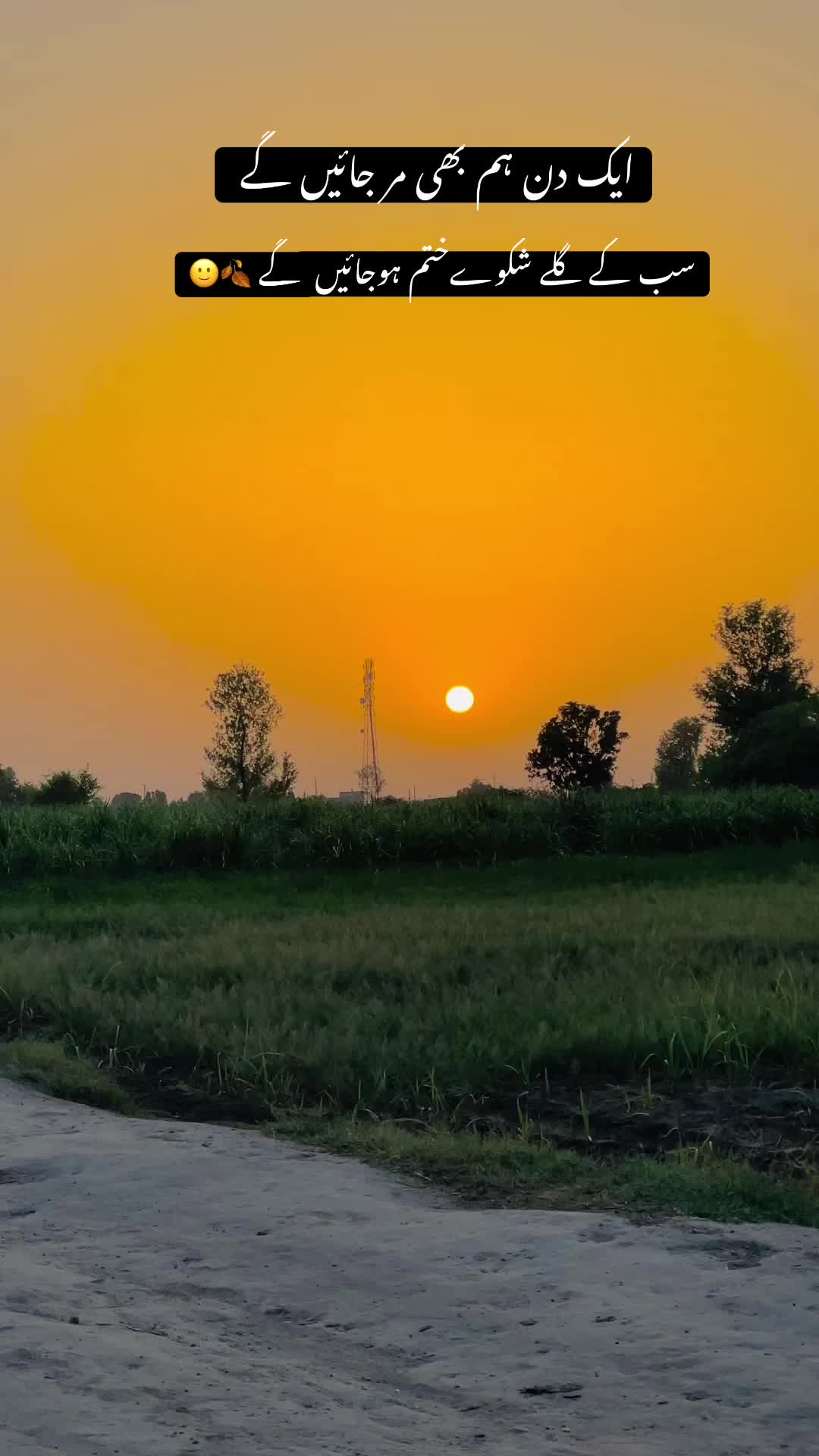 @🥀مٹی پنجاب دی🥀