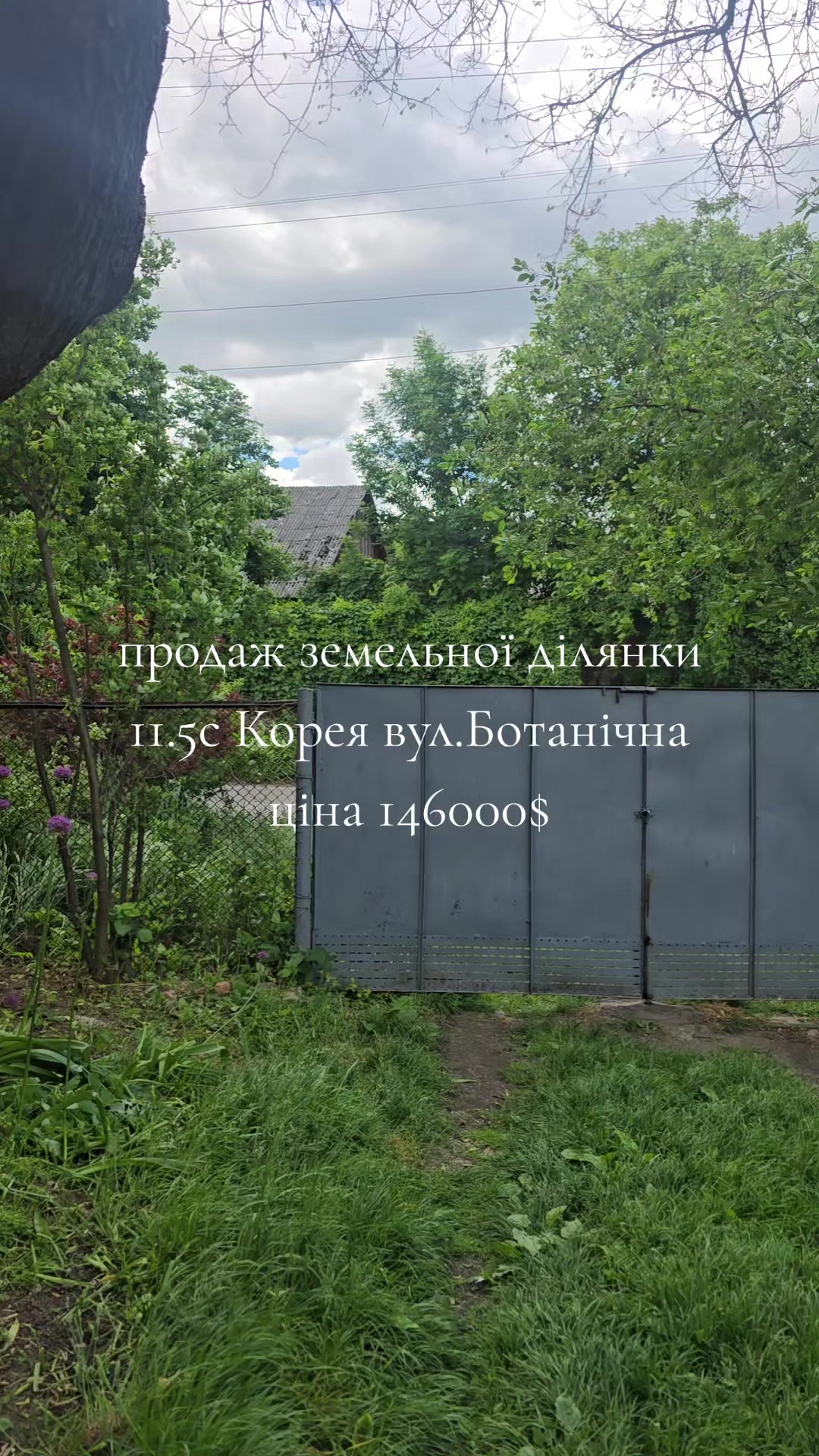 @Маргарита