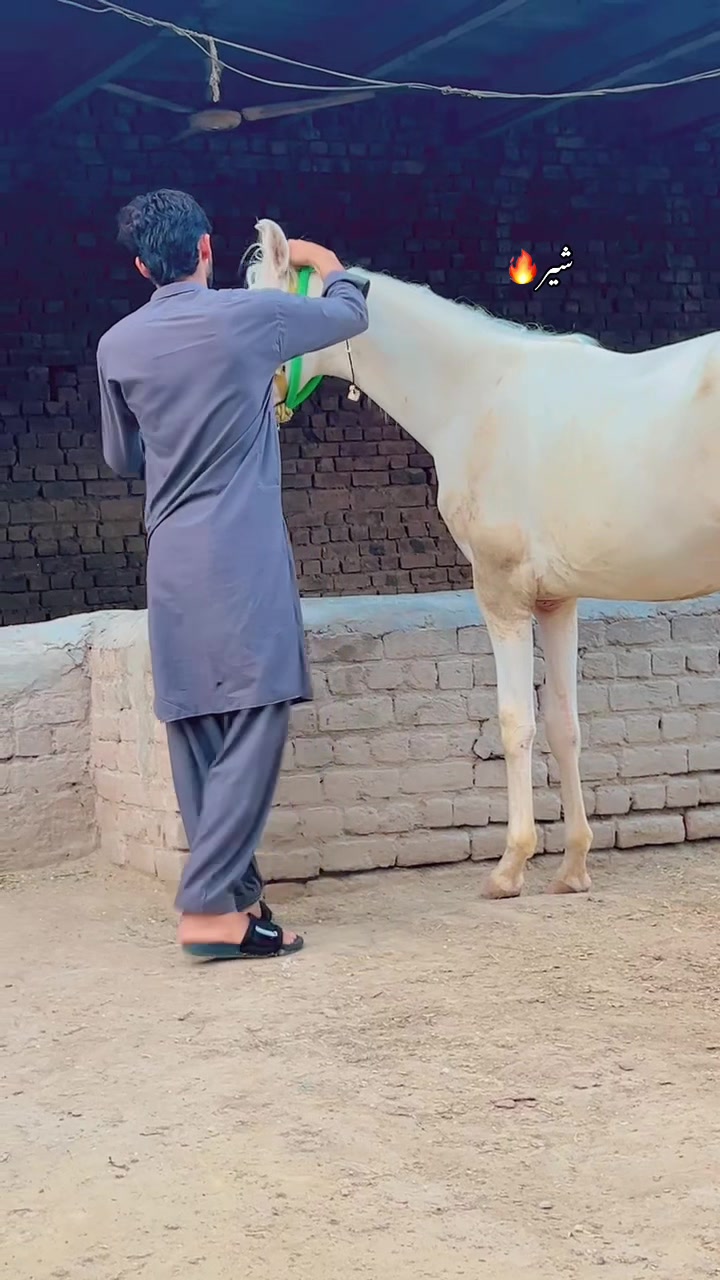 @چوہدری شاہزیب دوچھہ❤️&zwj;🔥🥂