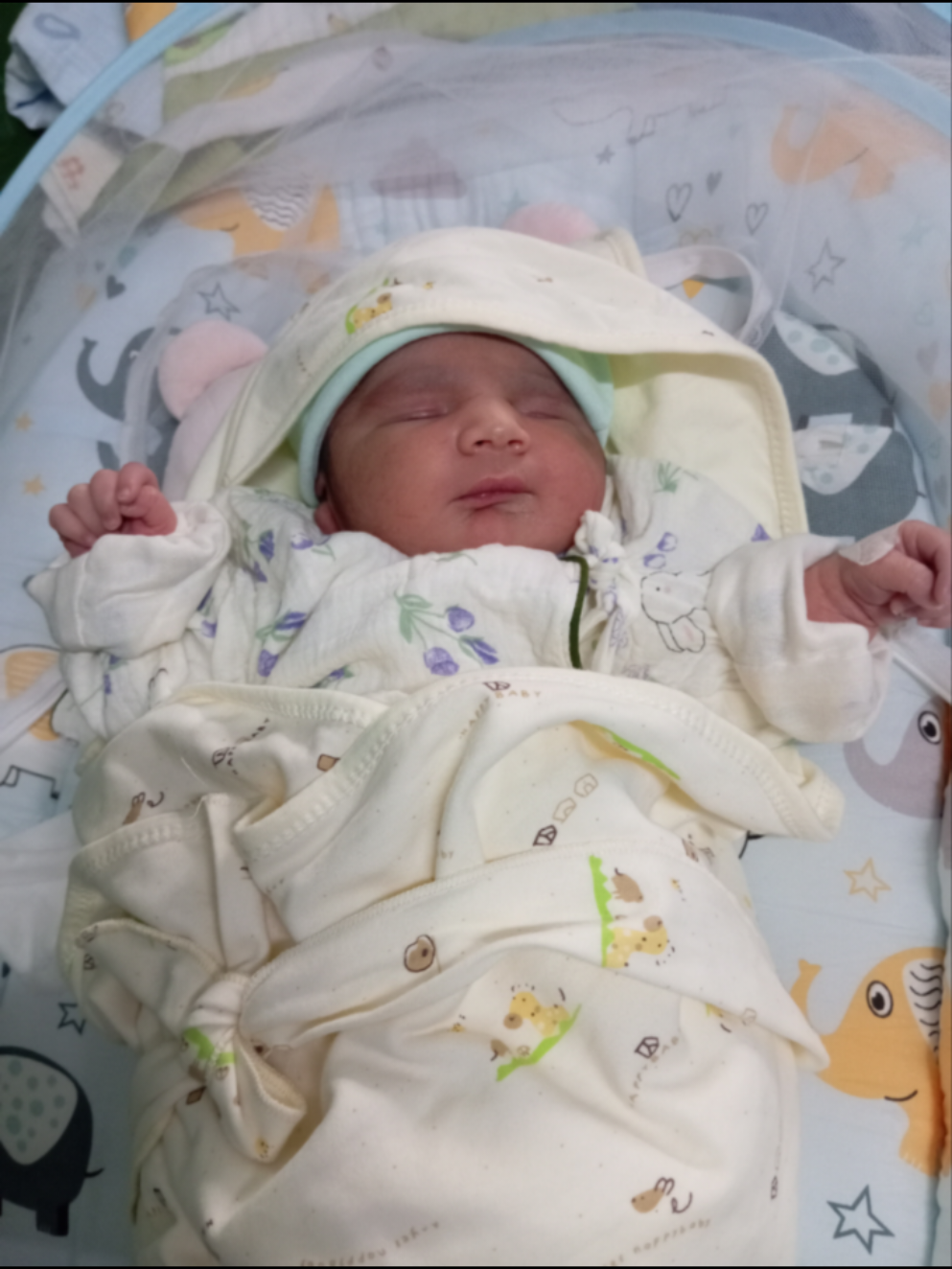 @samiksha panta