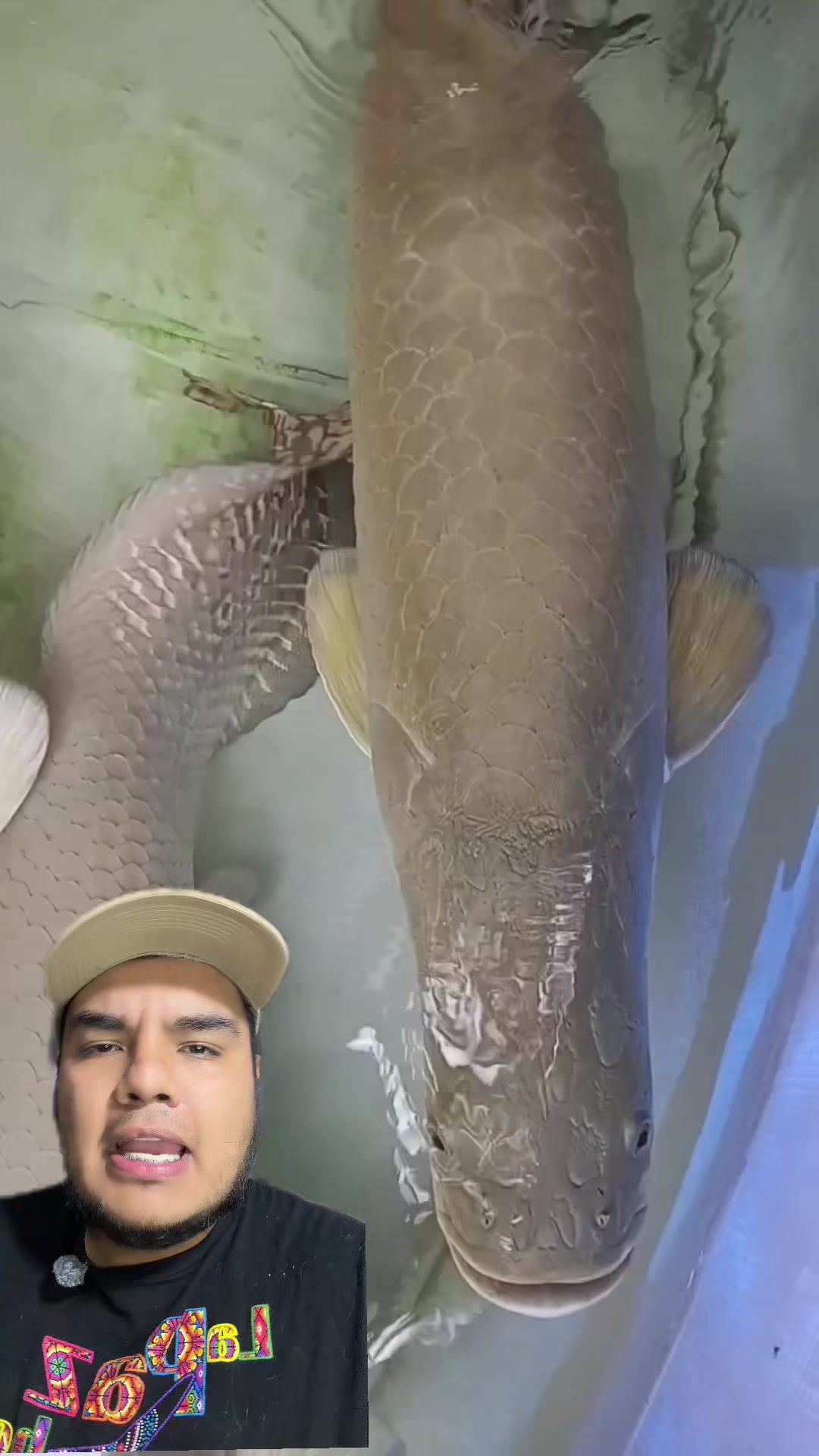 @Jair Herrera 🐆