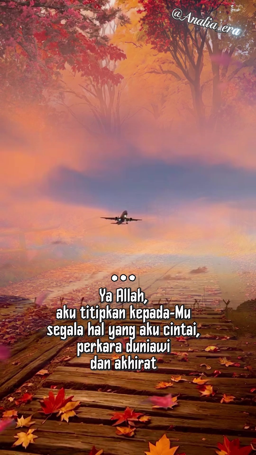 @Analia Kim