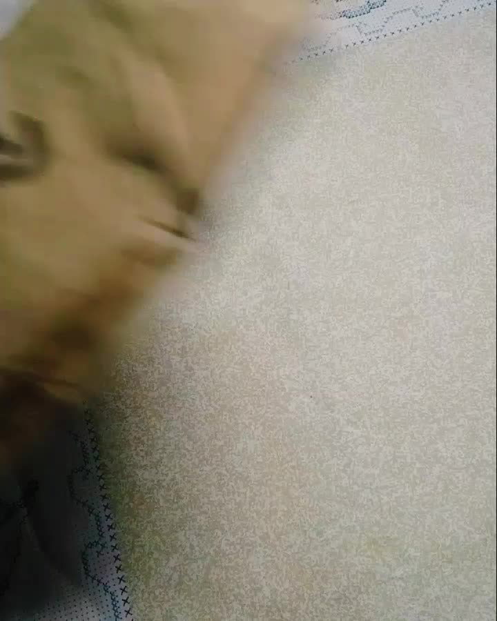 @webdibhy24j
