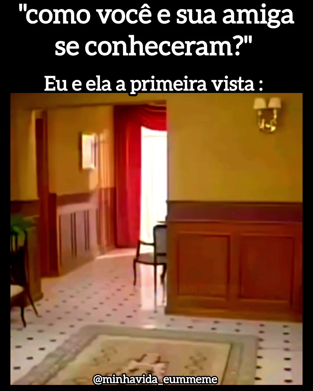 @"MINHA VIDA &Eacute; UM MEME"