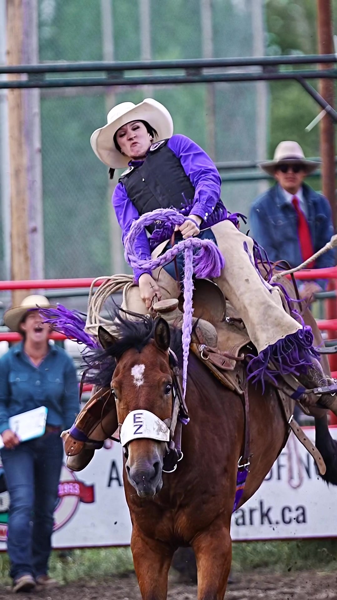 @Hanginghorses