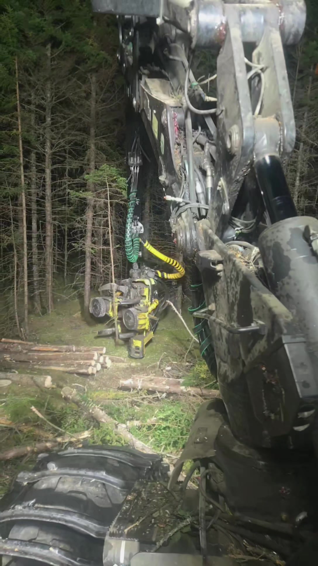 @Nova Scotia Logger