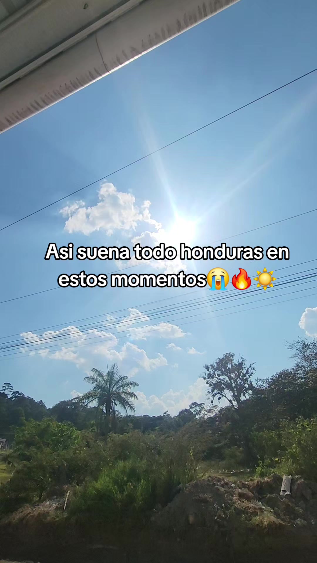@isabel🦋