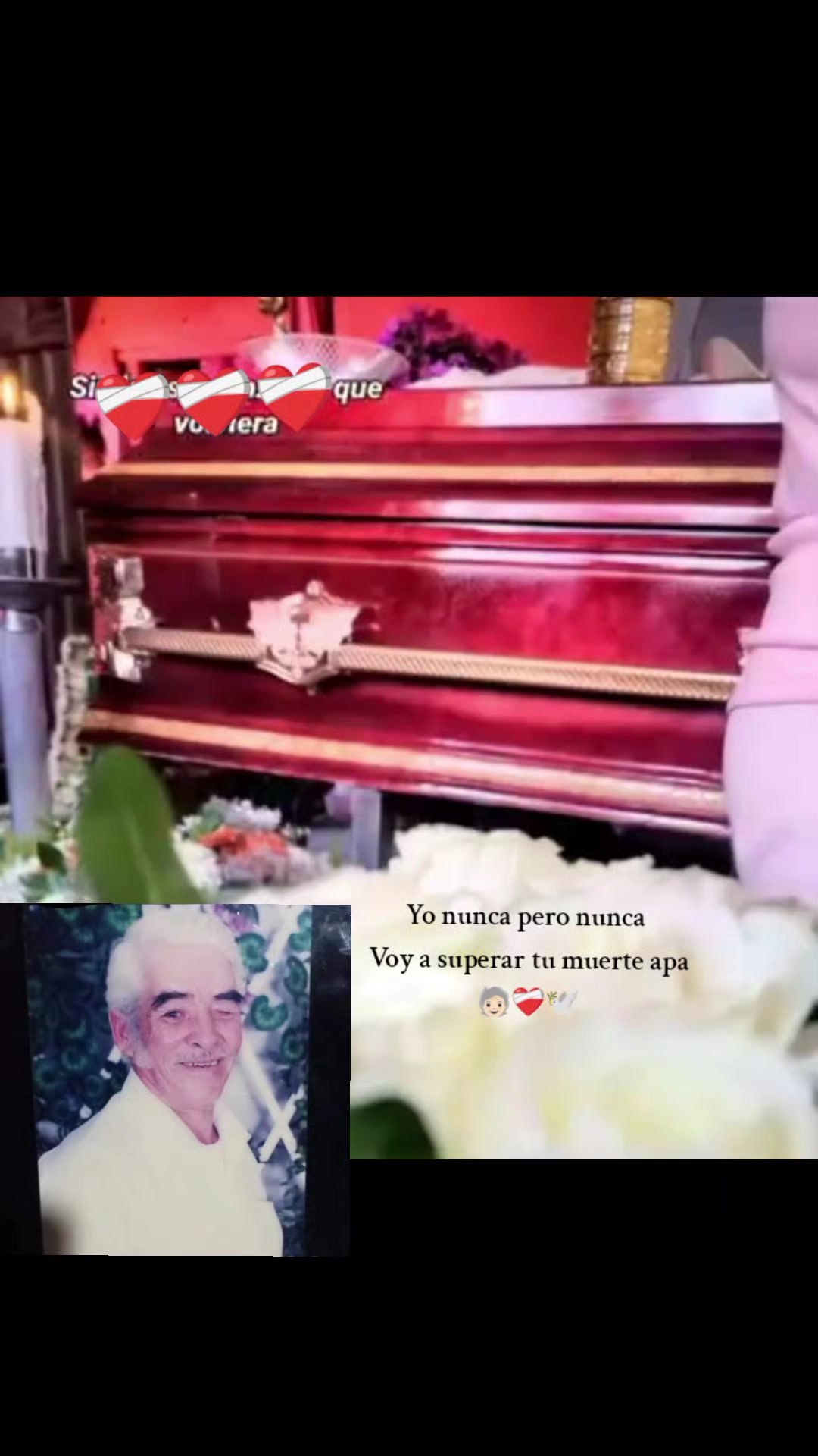 @Avril Garcia