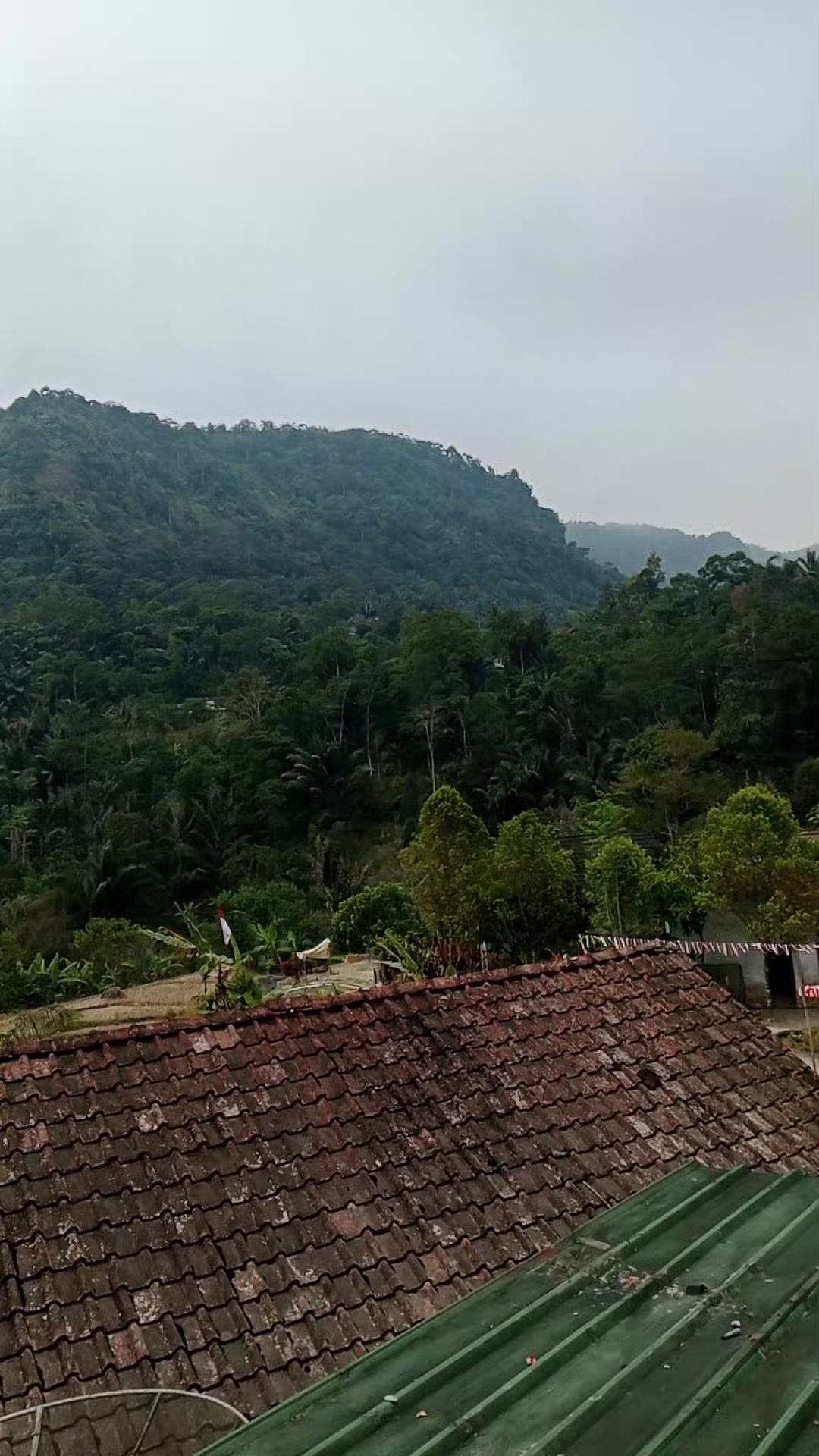 @Dari kontak anda