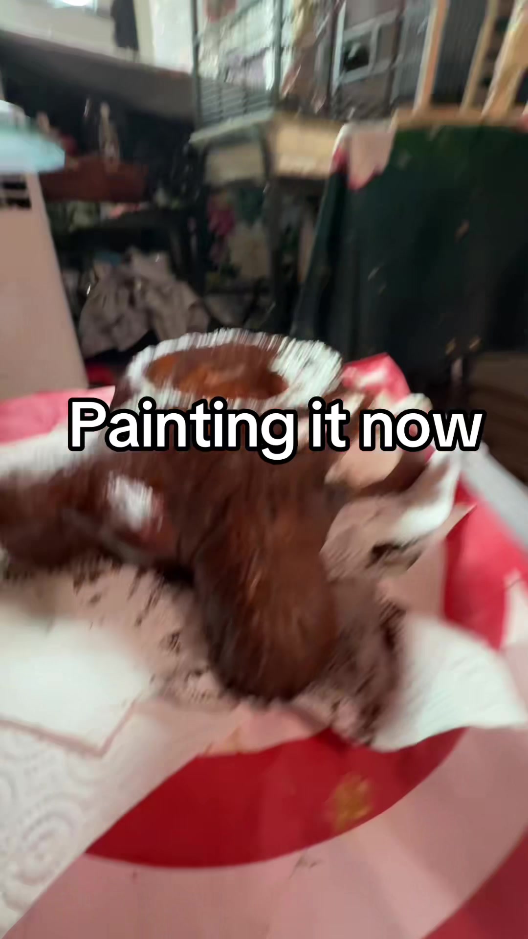 @birdgirl411
