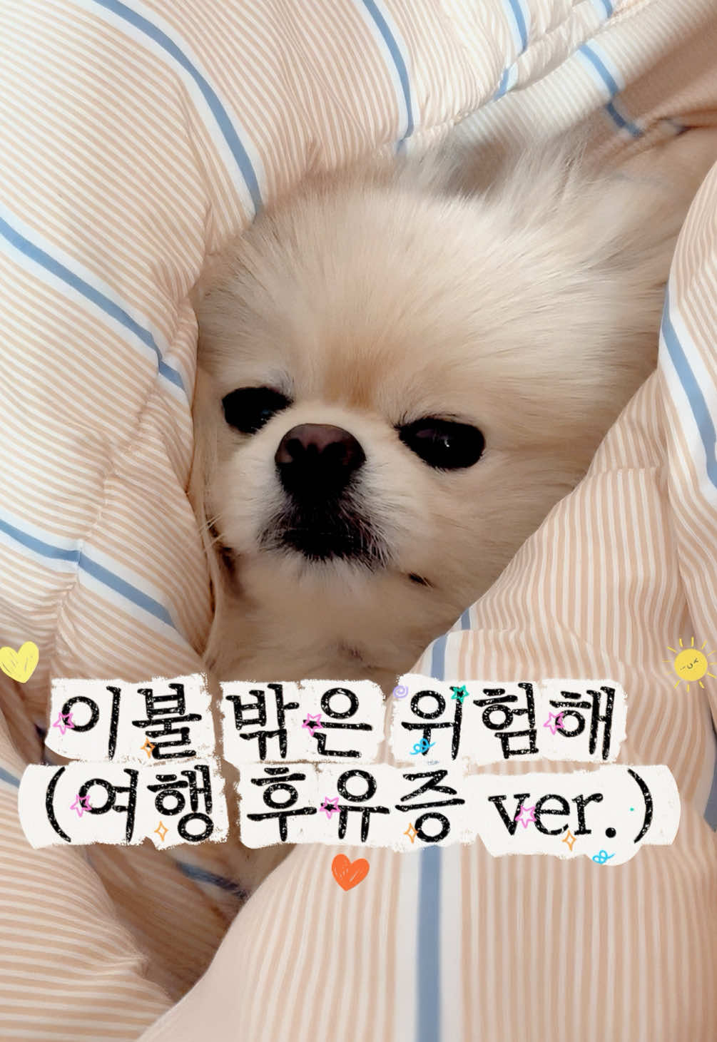 @뿌쇽🐻&zwj;❄️🤍