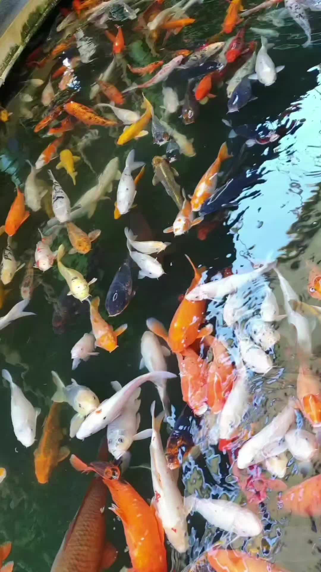 @여행.건강 전도사