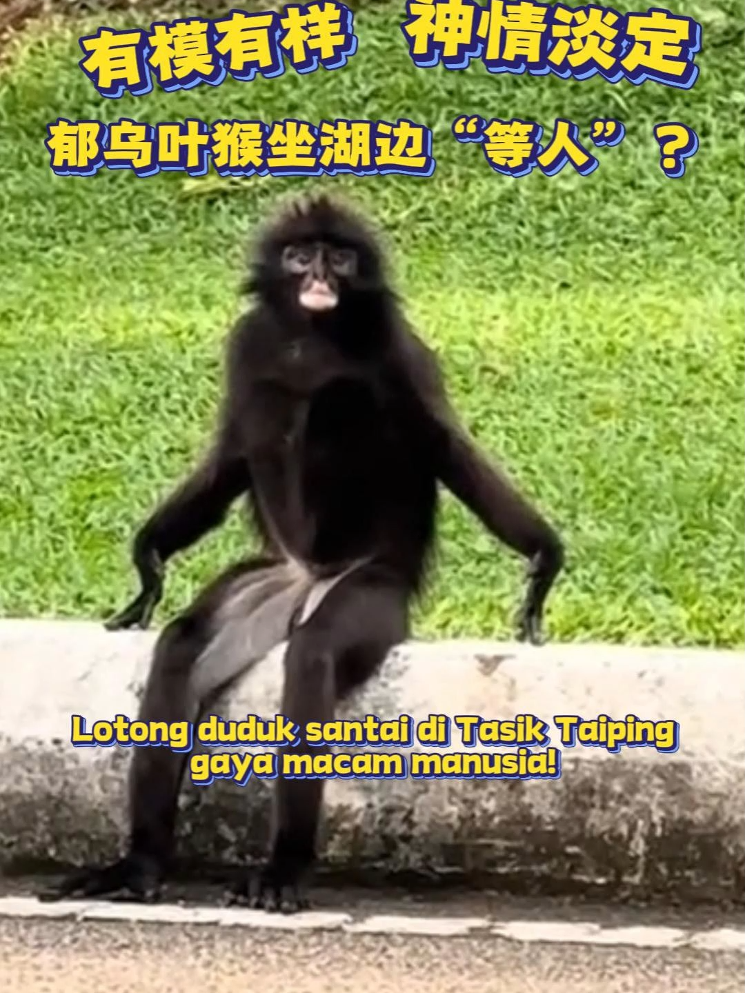 @中国报