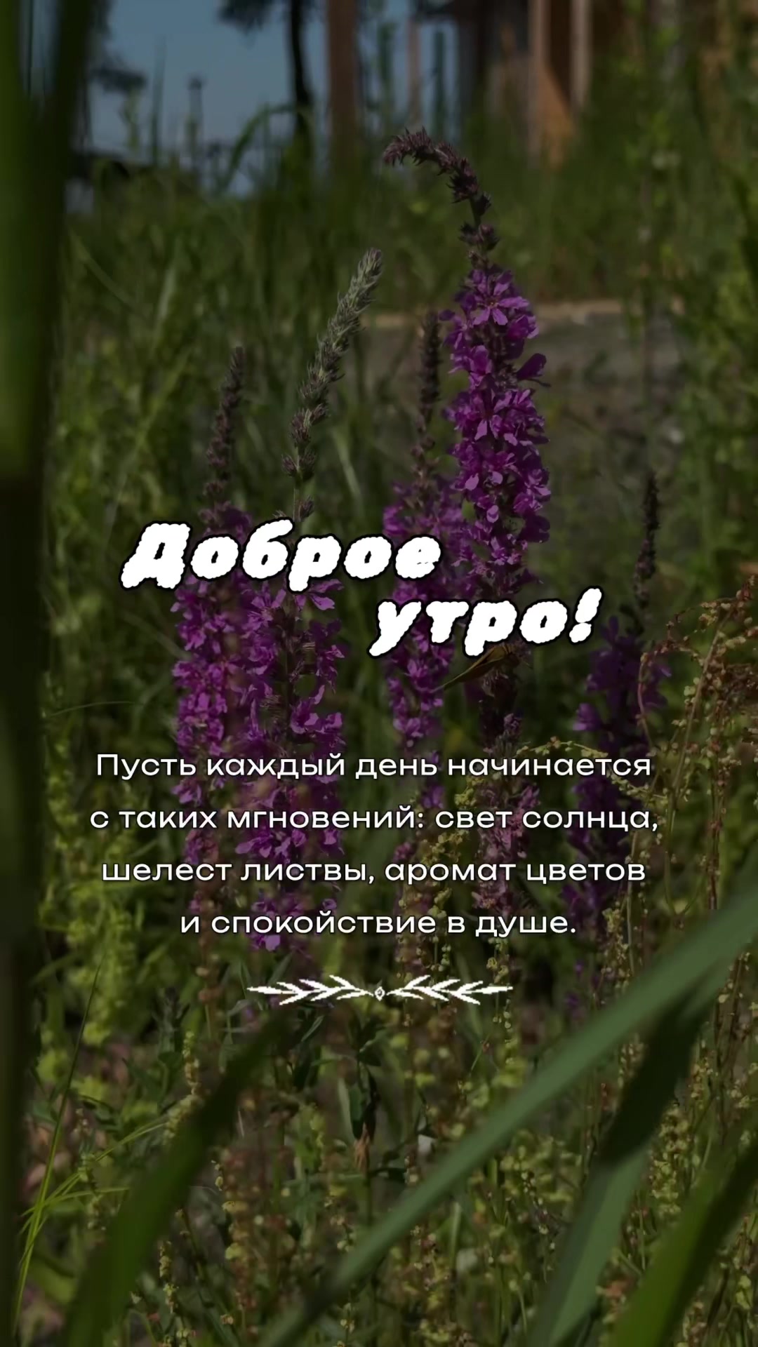 @Vera