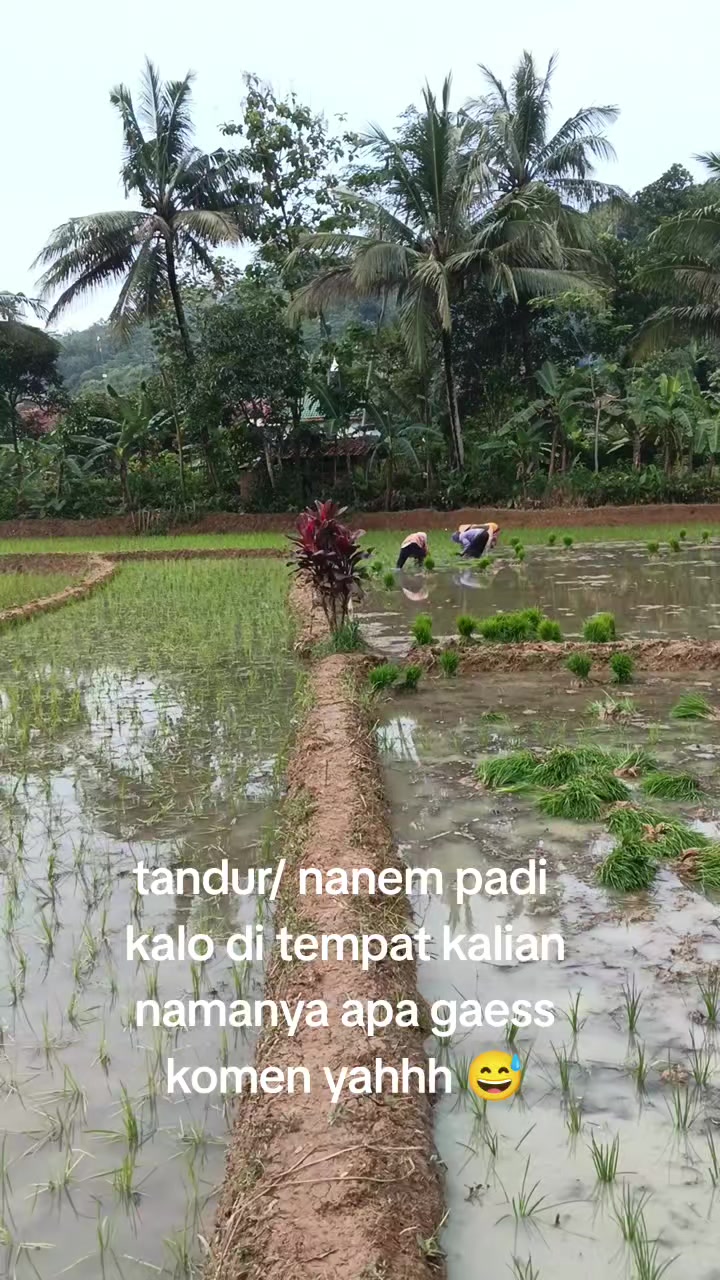 @Dewi Irmaaa