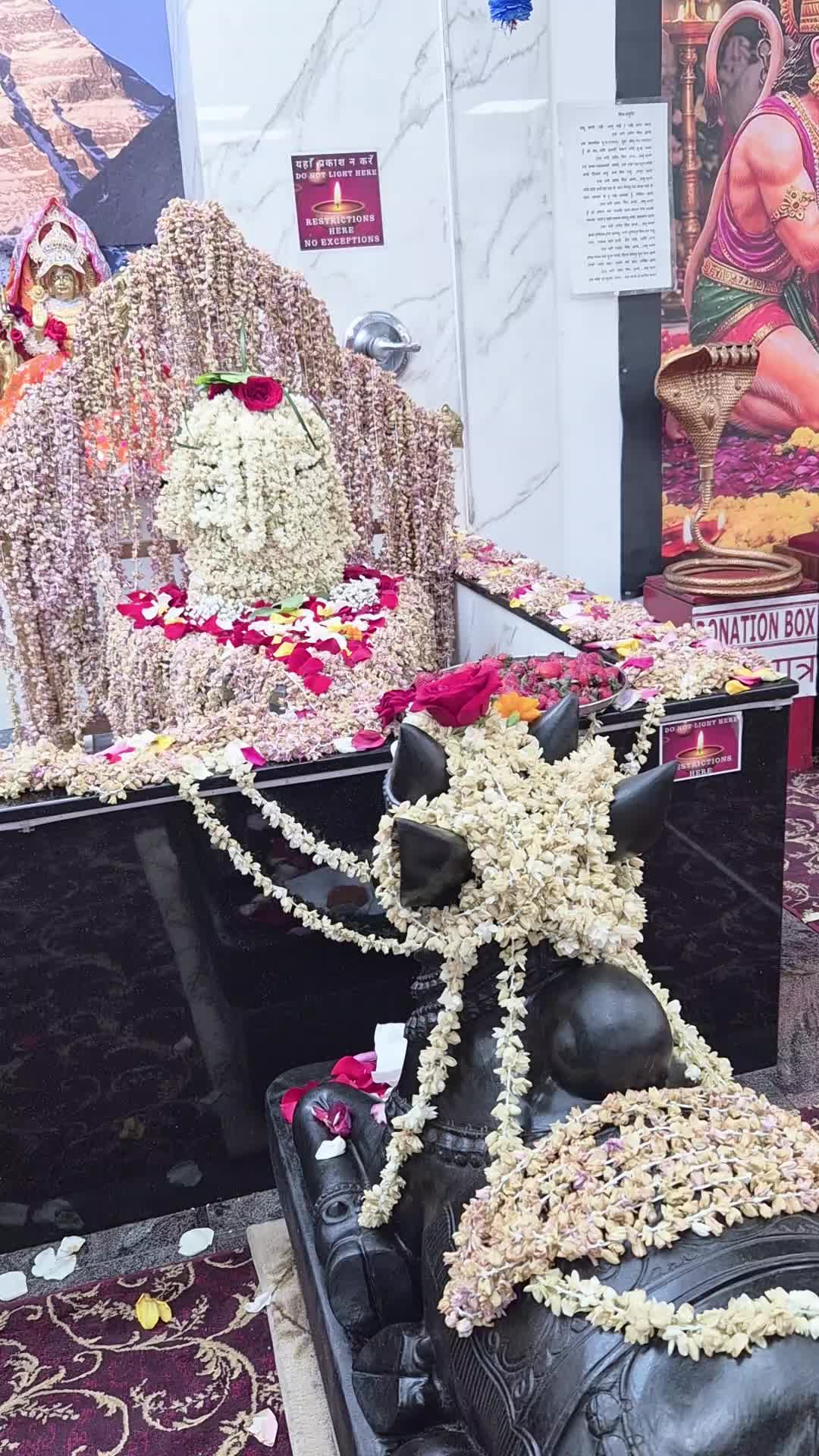 @Vikas Sharma