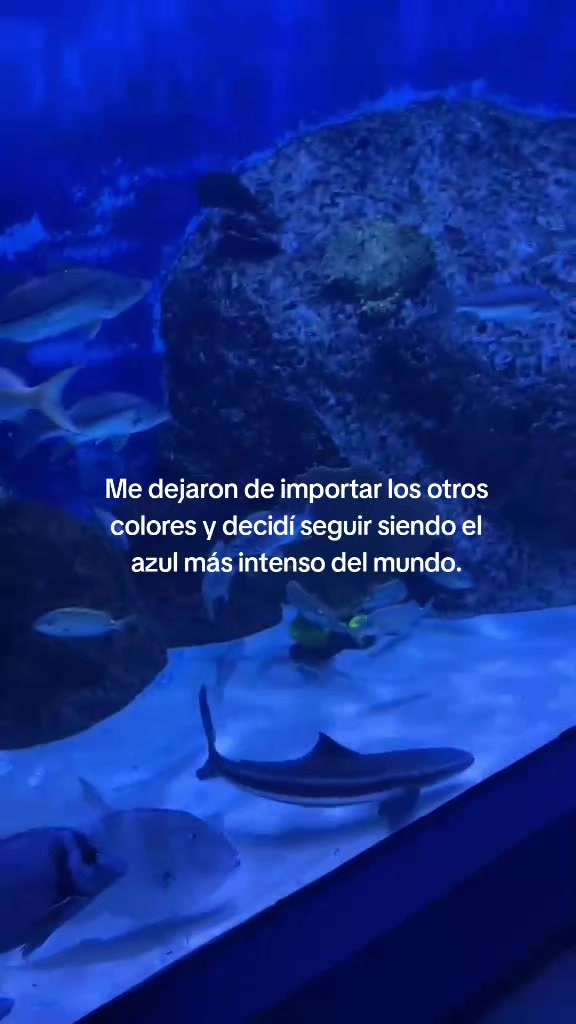 @victorgh