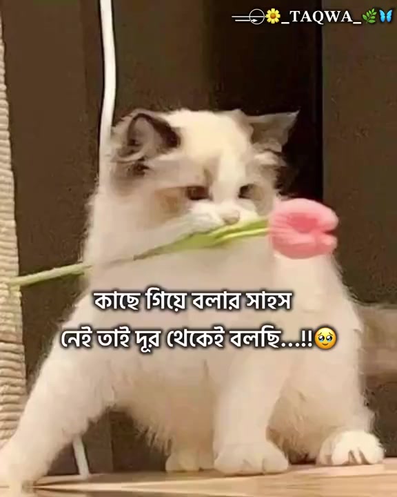 @📴📴offline 📴📴