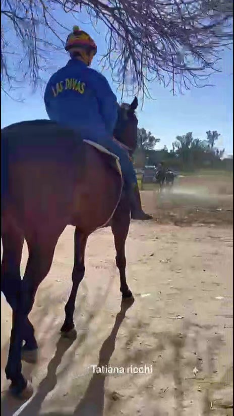 @Graciela Calderón