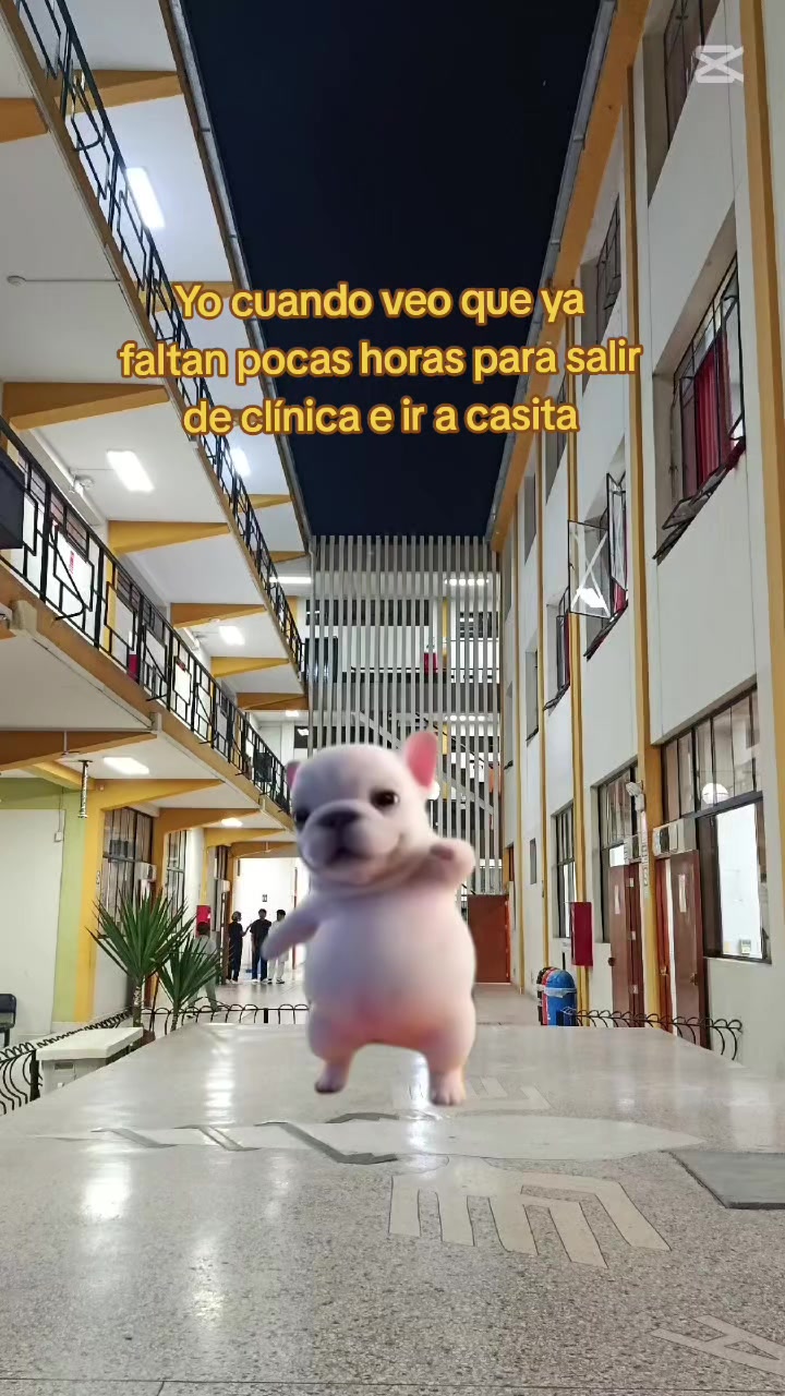 @Patri Rom