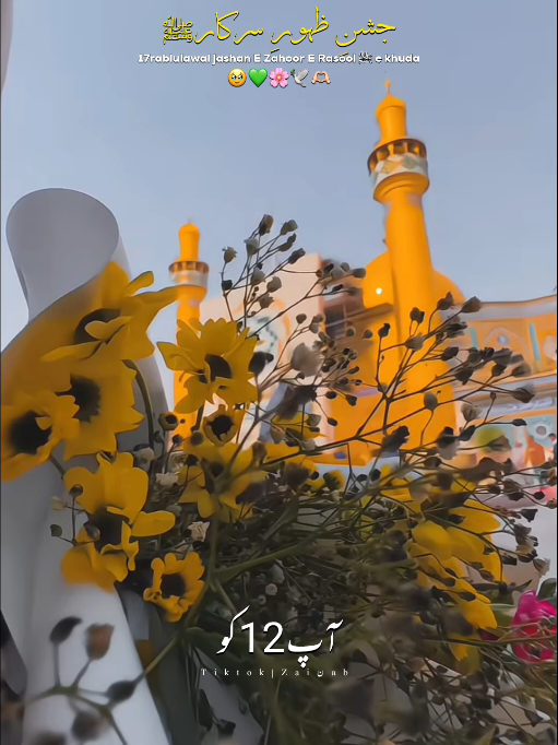 @𝐙𝐀𝐈ن𝐀𝐛ރ