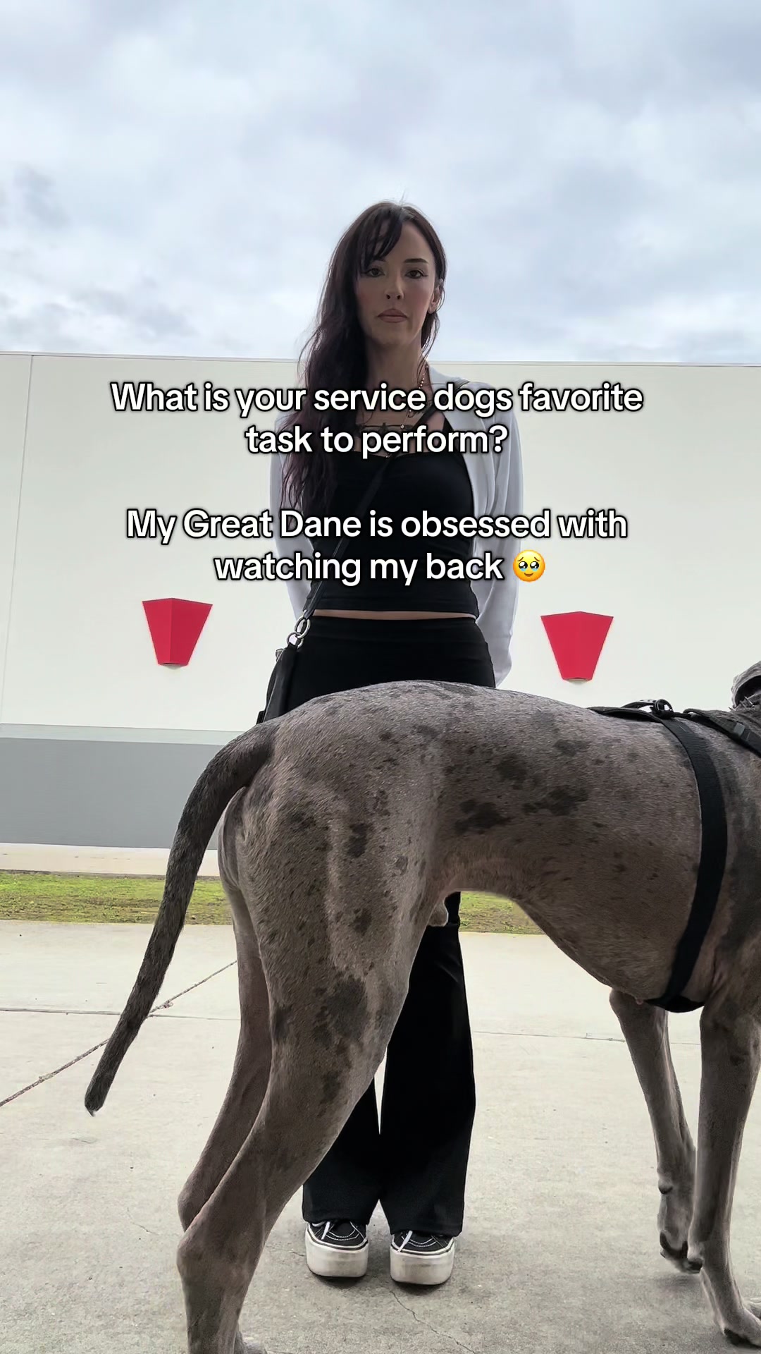@lex 🐺⛓️