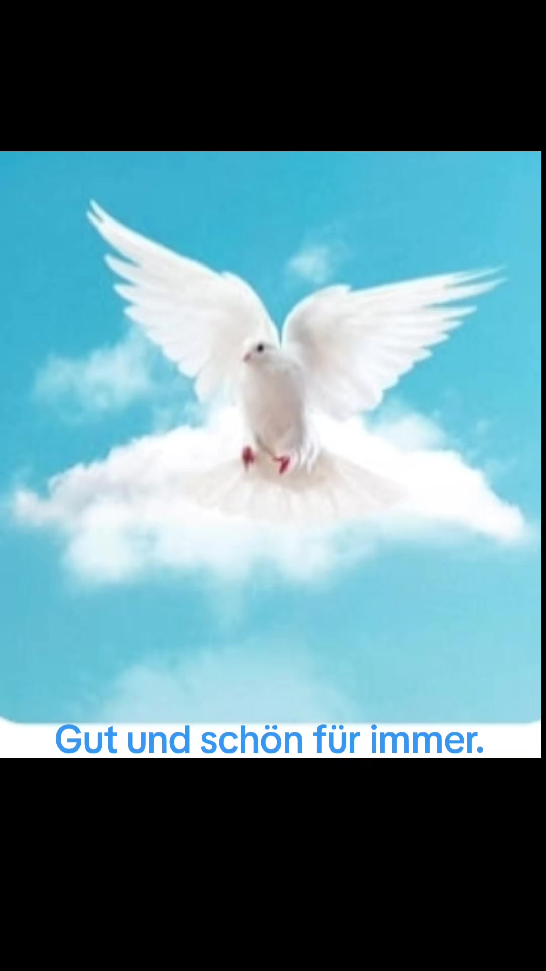 @Gik77777 ๐Angels๐