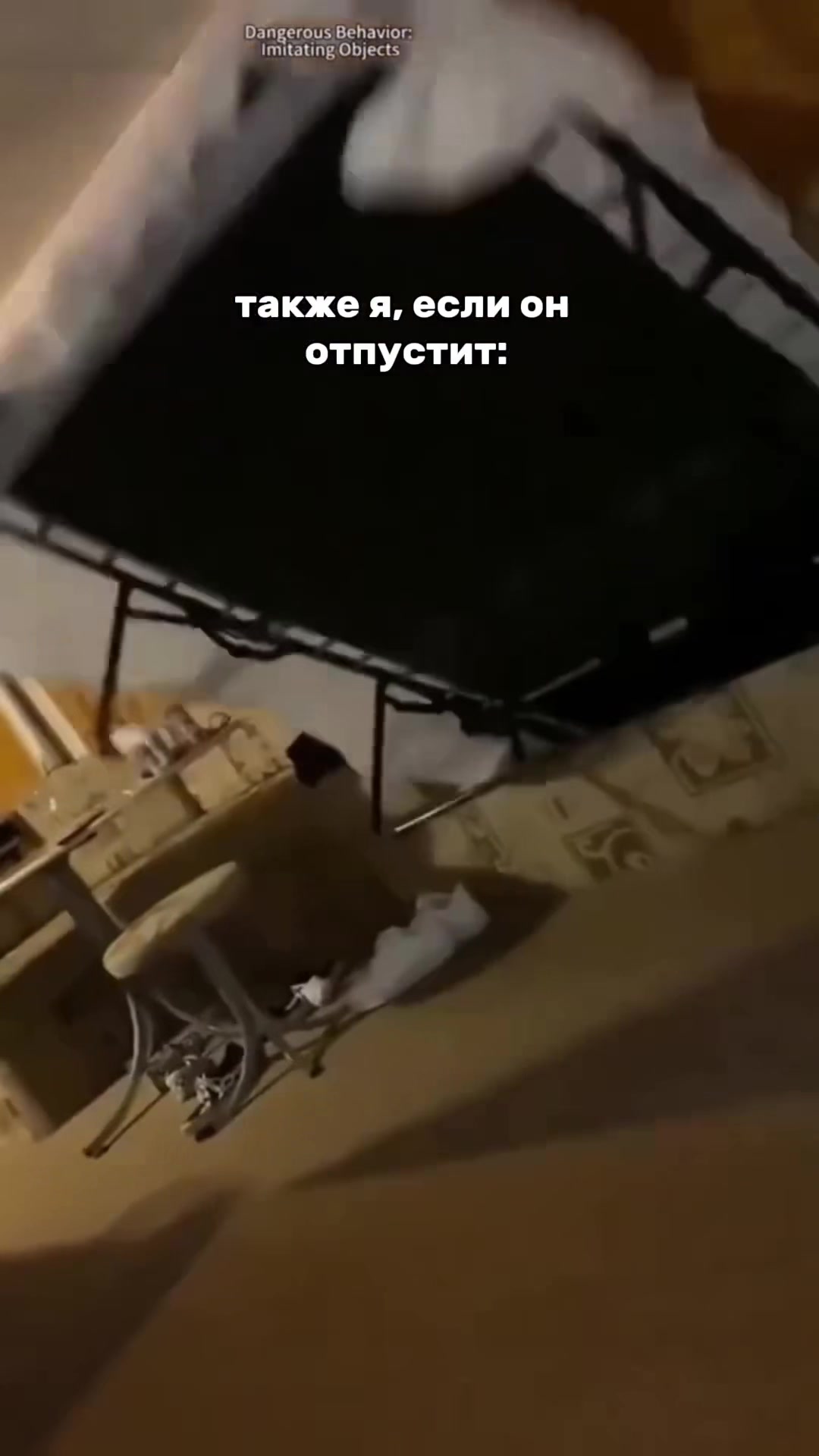 @Любимка@