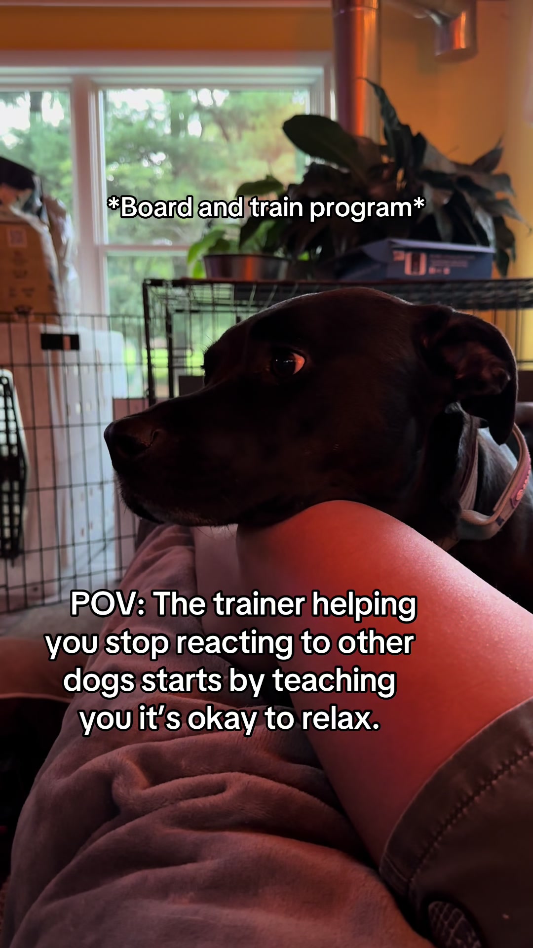 @OUTBOUNDDOGS