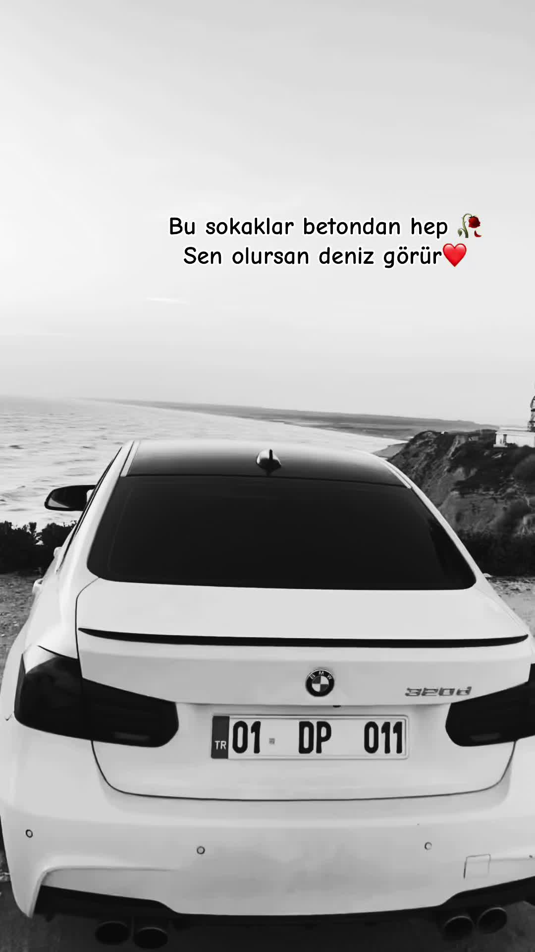 @Didar Pala