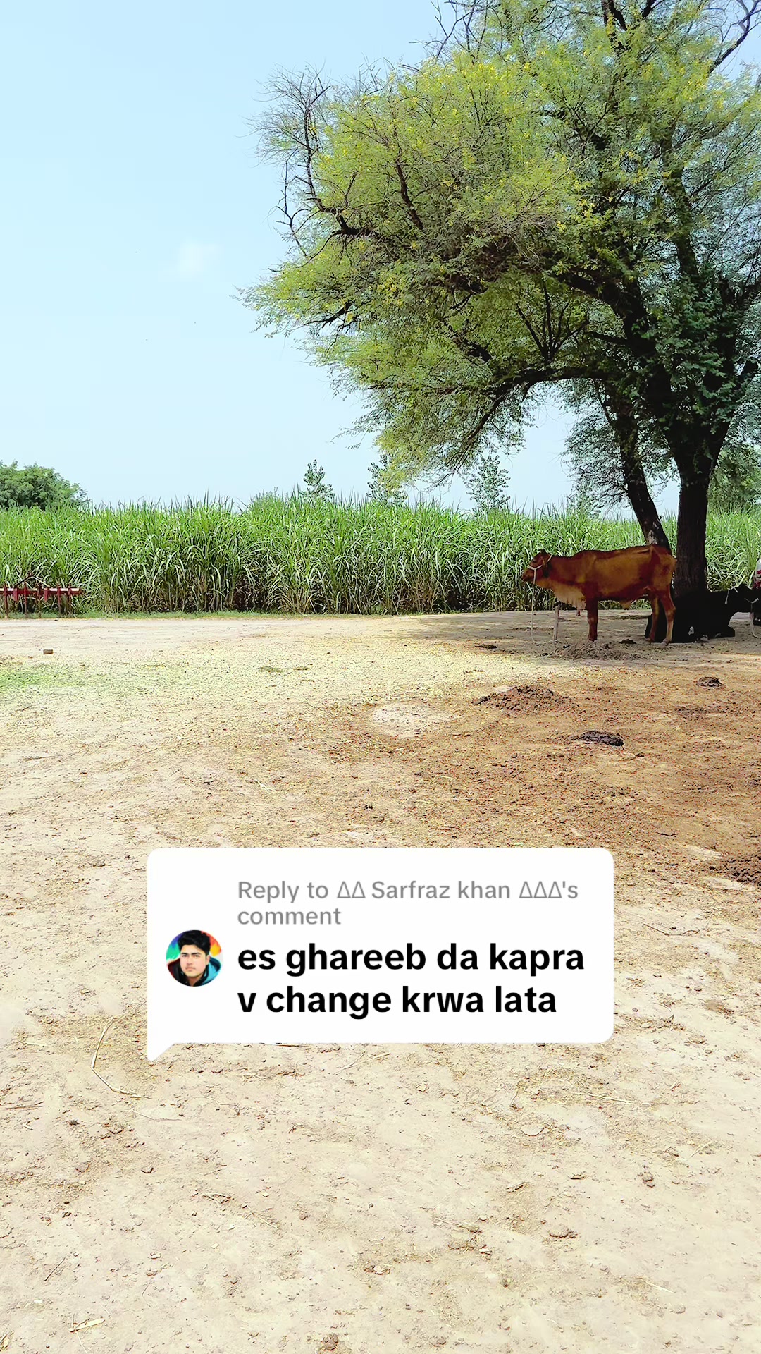 @SUNNY JAPPA