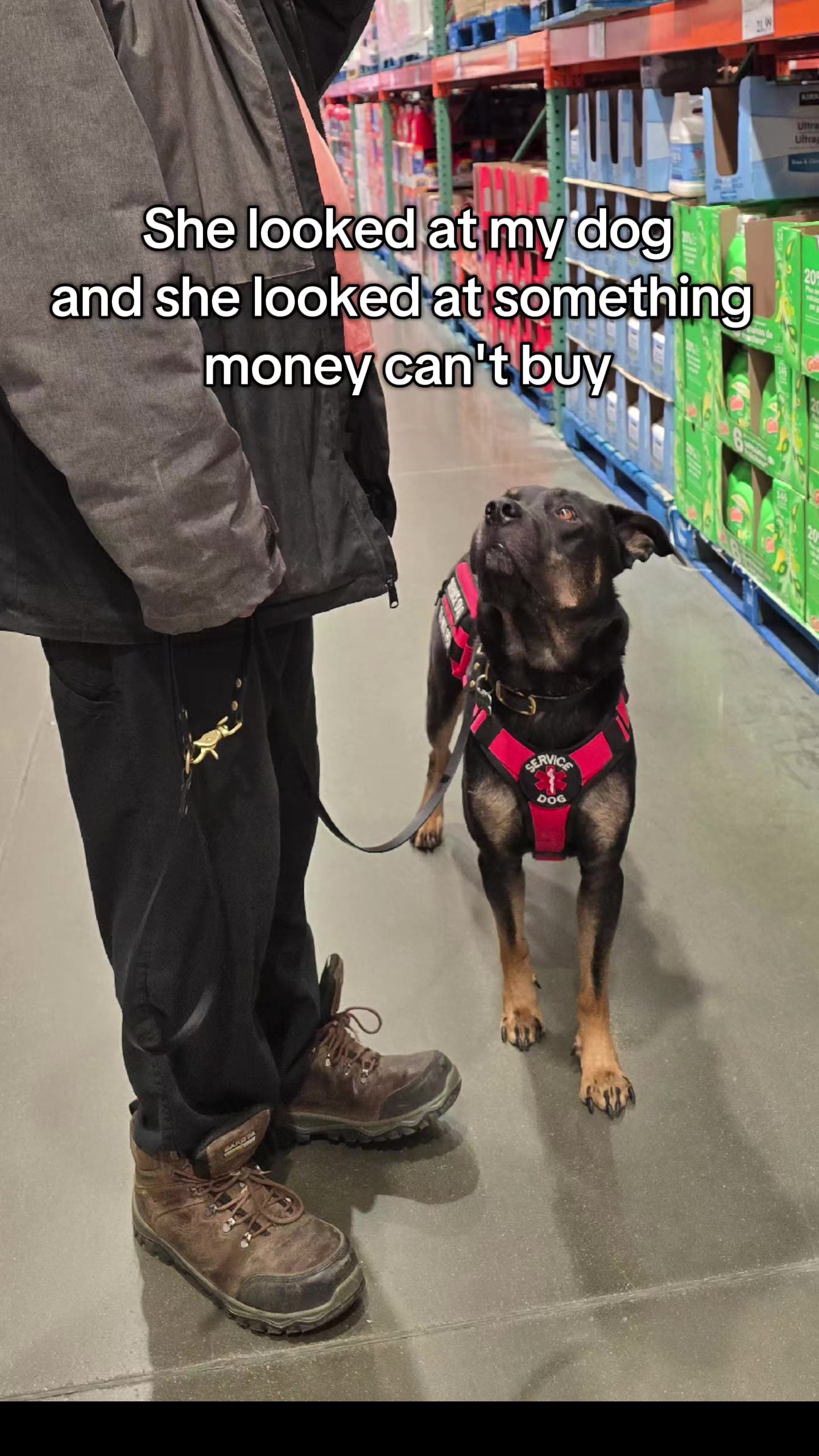@Kairo's K9s Training 🇨🇦