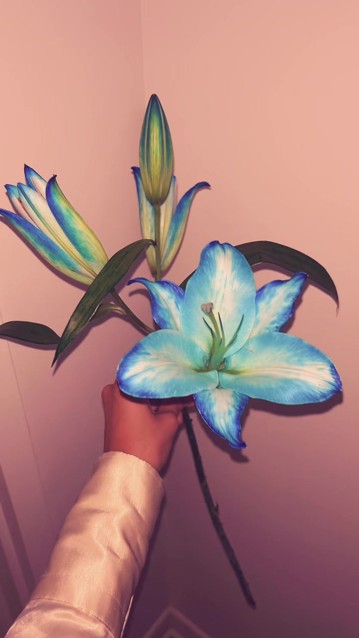 @Mila Flowers🌺