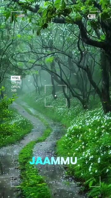 @ঝরা পাতা