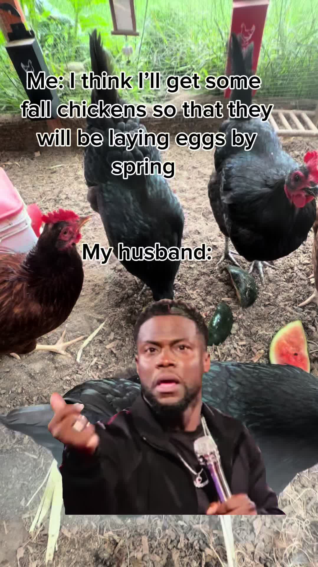 @Resistance Homesteaders